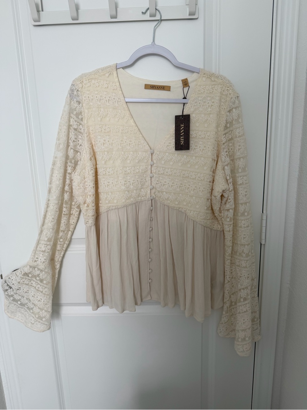 Shyanne Cream Lace & Chiffon Button-Front Blouse